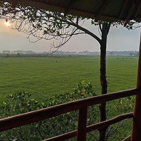 Lake Side View Cabana ทิซซามาฮารามา ภายนอก รูปภาพ