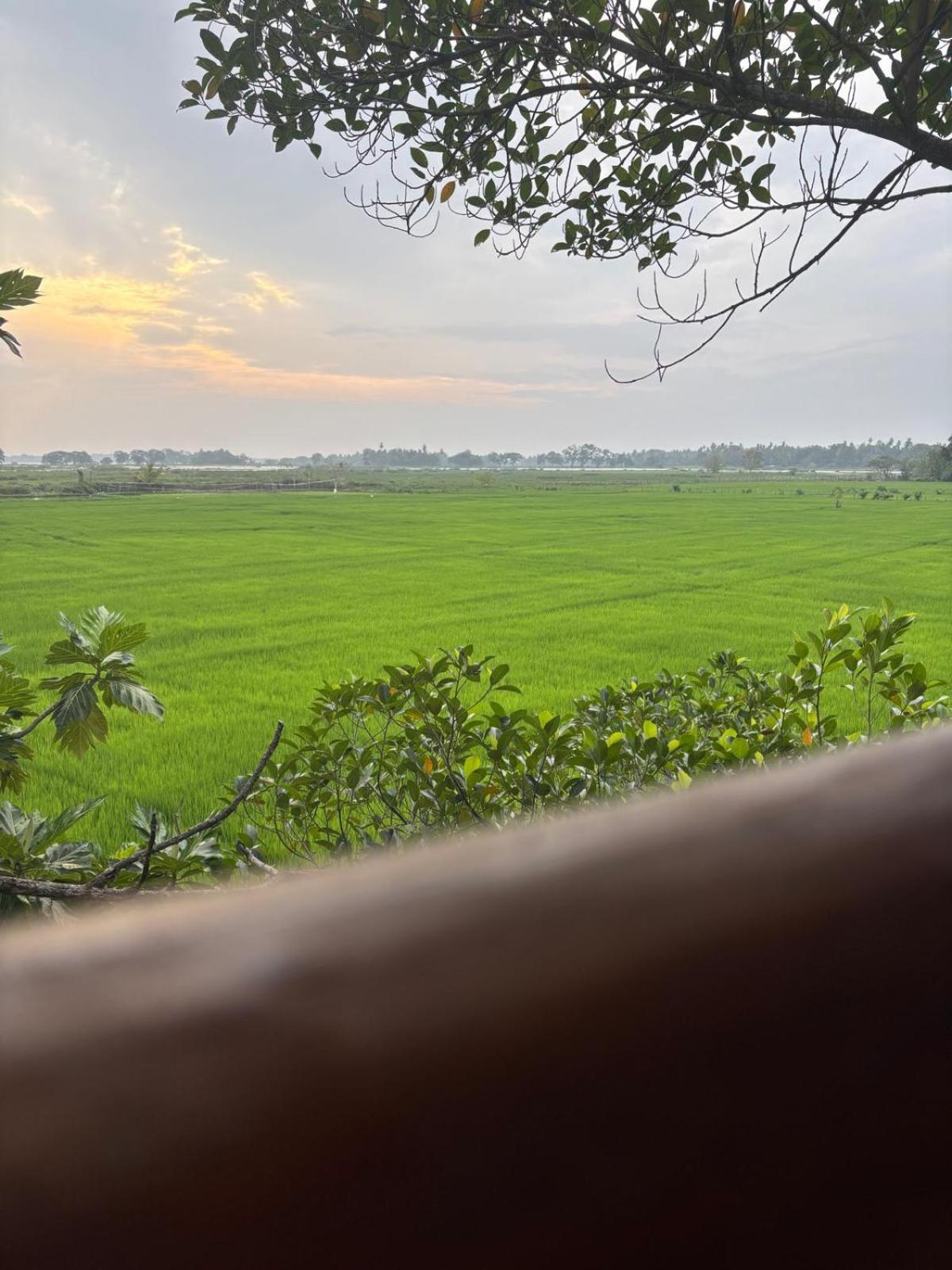 Lake Side View Cabana ทิซซามาฮารามา ห้อง รูปภาพ