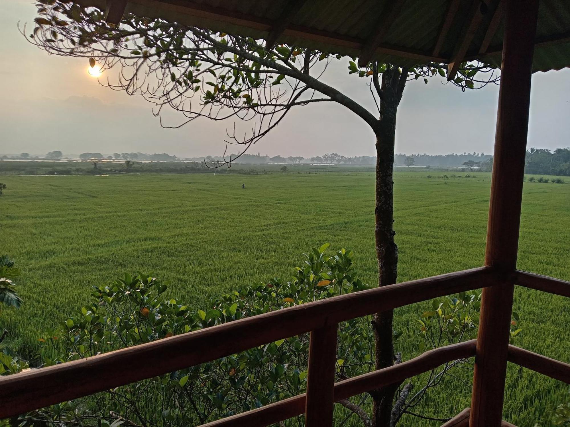 Lake Side View Cabana ทิซซามาฮารามา ภายนอก รูปภาพ